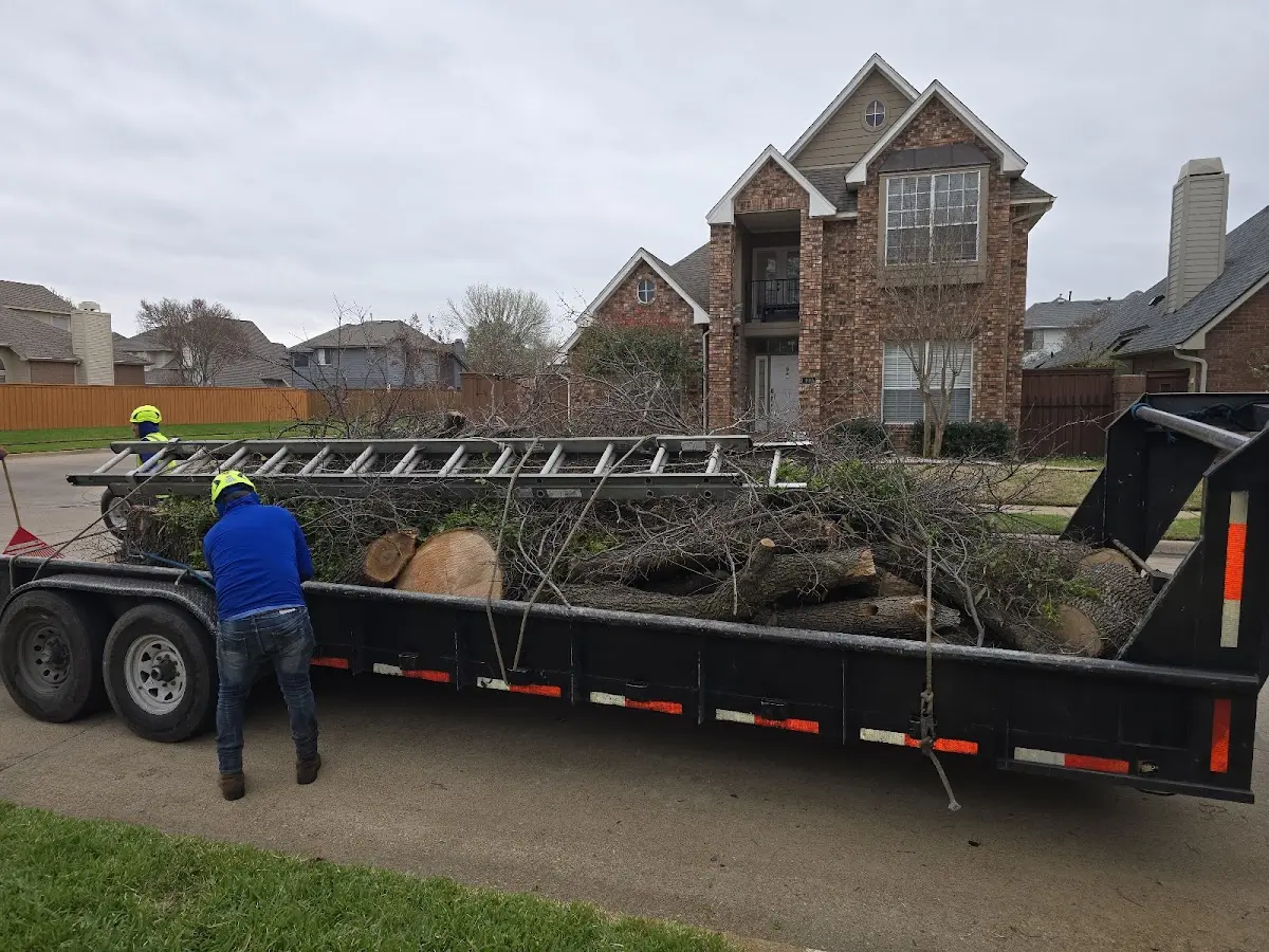 Expert Tree Pest Control with proper safety equipment in Mellott
